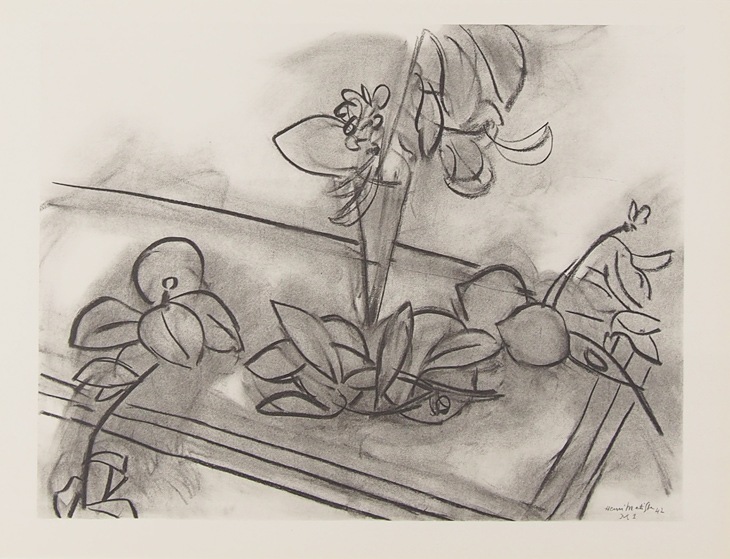 アンリ・マティス デッサン集『テーマ＆ヴァリエーション