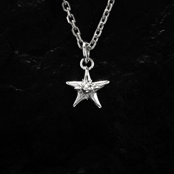 T-103i | ペンダントトップ | ARIZONA FREEDOM（アリゾナフリーダム