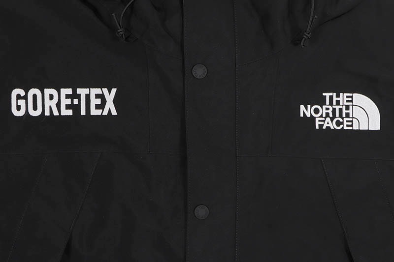 THE NORTH FACE GORE-TEX MOUNTAIN JACKET (NF0A831MJK3:TNF BLACK