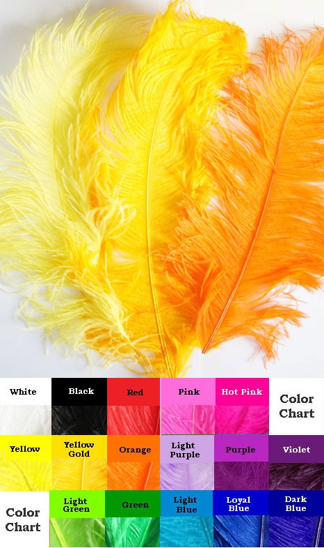 高級オーストリッチ羽根 スペシャル4Lサイズ(72cm以上)1本