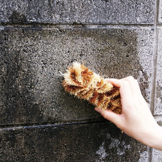 4_000000000206.jpg?1678209904