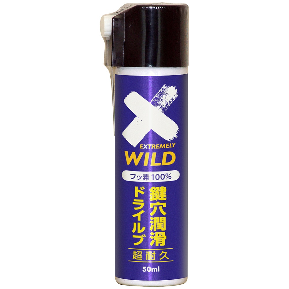 AZ 鍵穴潤滑 ドライルブスプレー 50ml DKL-001