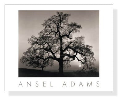 category | ポスター販売のアズポスター｜ポスター、アートポスター