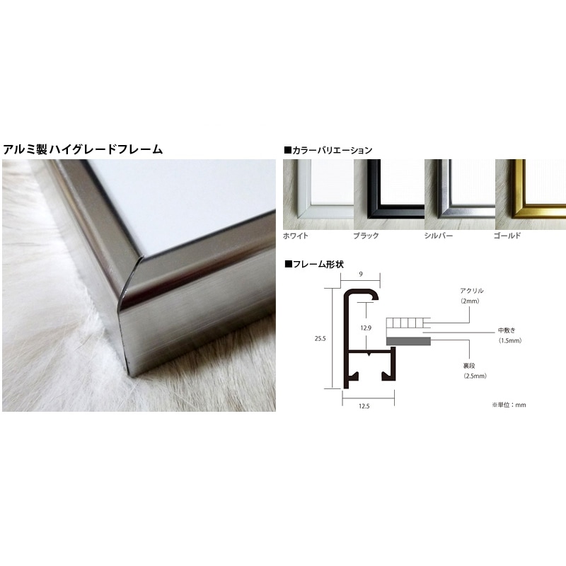 限定マット額装品/Annei Leibovitz（アニー・リーボヴィッツ） Keith