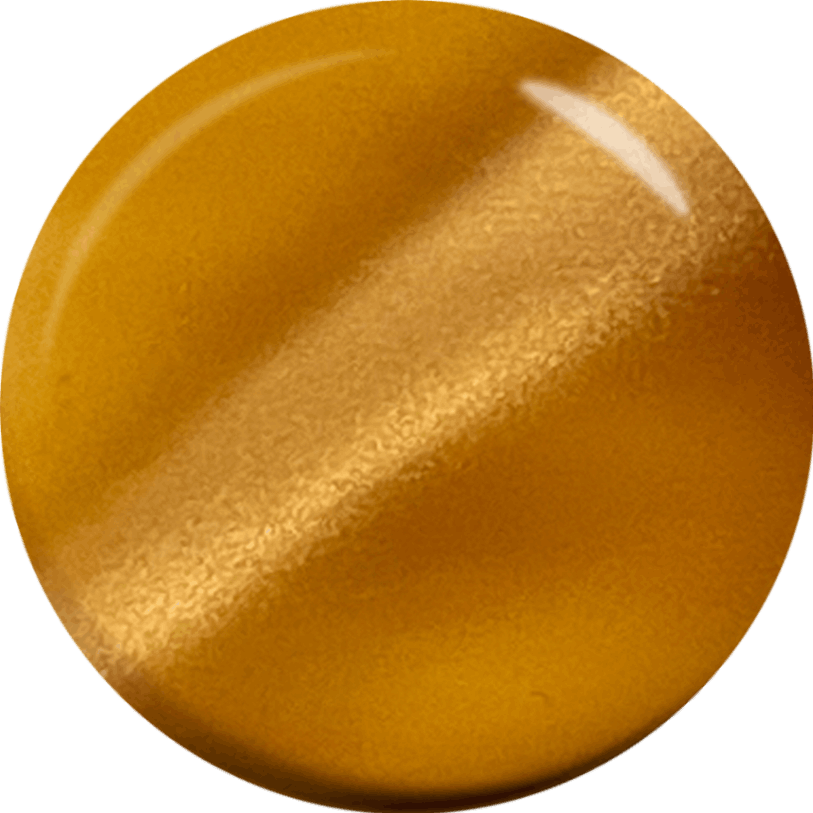 パラジェルデザイナーズカラージェル DMG03 ヘーゼルナッツ 3g