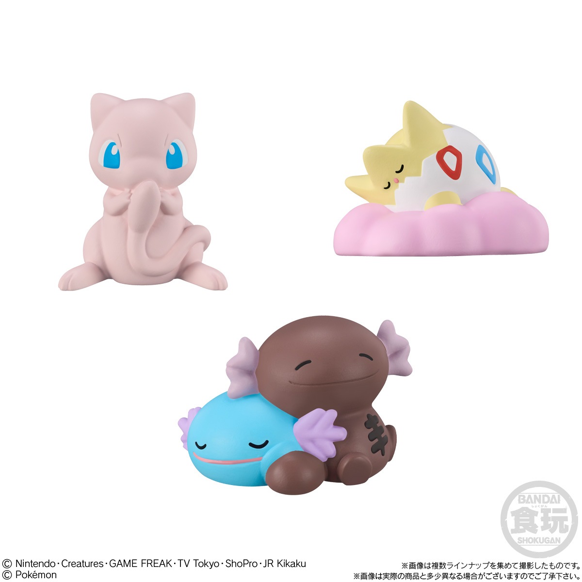 2024年2月発売 予約商品】【BOX】ポケモンキッズ キミとポケモンの