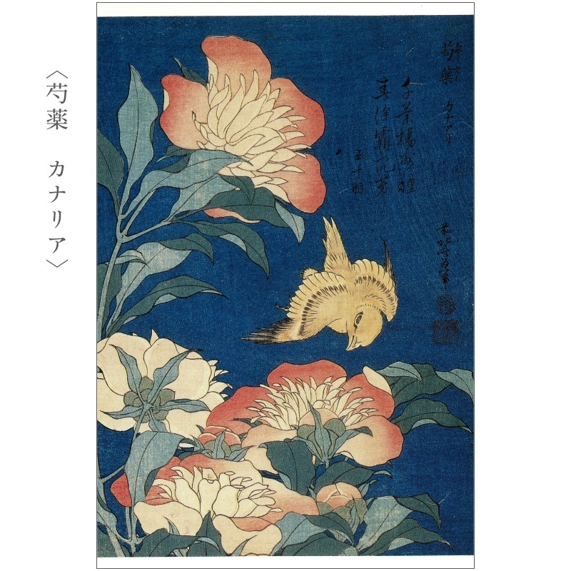 絵はがきセット〈葛飾北斎 花鳥画撰〉(10枚組)京都便利堂オンライン
