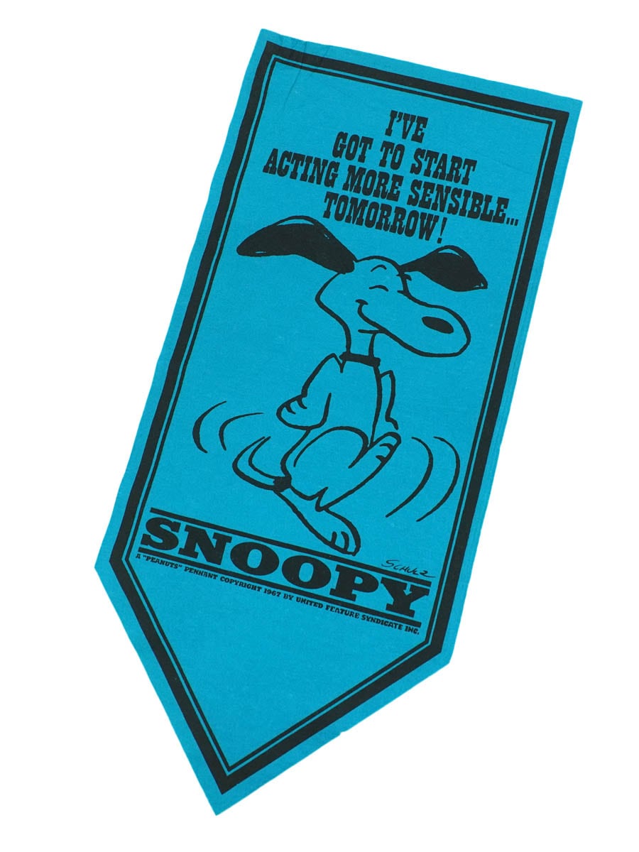 70's PEANUTS SNOOPY ペナント ブルー DEAD | SOLD OUT | | BerBerJin