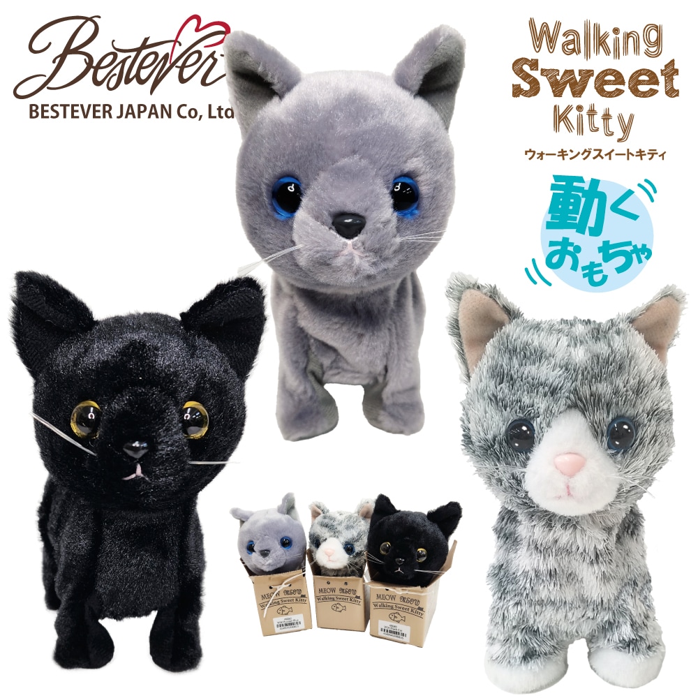 BESTEVER JAPAN - 株式会社ベストエバージャパン ｜ 小売店様・問屋様