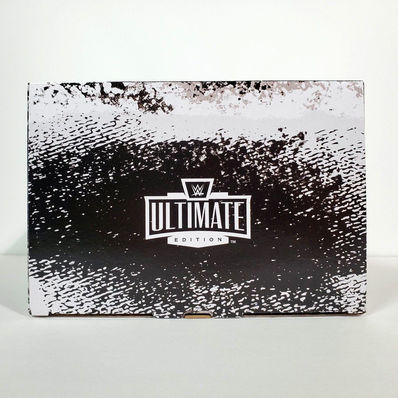 アウトサイダーズ（スコット・ホール & ケビン・ナッシュ）WWE