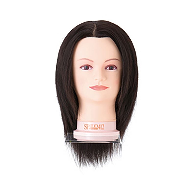 国家試験ウィッグの通販｜美セラ