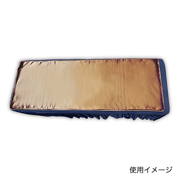 温熱敷マット ヒートマット ブラウン CML604ARの通販｜美セラ