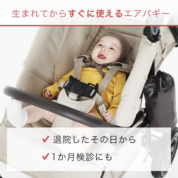 エアバギー AirBuggy ココ プレミアフロムバース アースブラック 通販