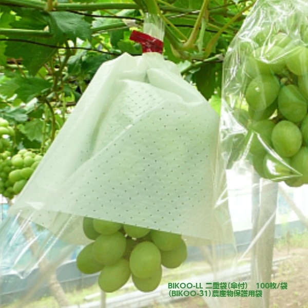 BIKOO-LL 二重袋(傘付) 300×400 サイズ （農産物保護用袋 特大） 100枚