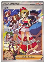 ポケモンカードゲーム】【s12a】 カイ(SAR)(236/172)◇｜ポケモン