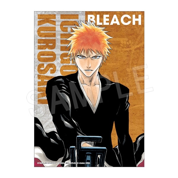 予約】BLEACH B3布ポスター 黒崎 一護 | は行,BLEACH | Chugaionline