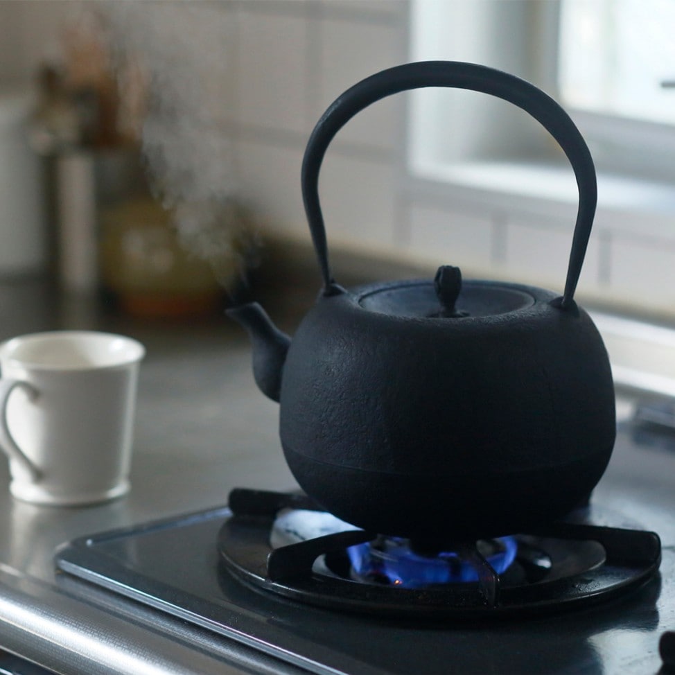 鉄瓶 柚子 （釜定） | やかん・ケトル | cotogoto