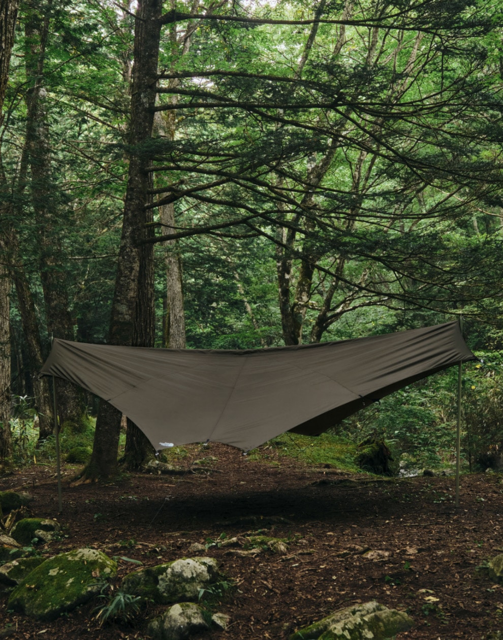 テント・タープ THE NORTH FACE Nebula Tarp 6 Nebula Tarp 6 | Online Camp Store | THE NORTH FACE CAMP