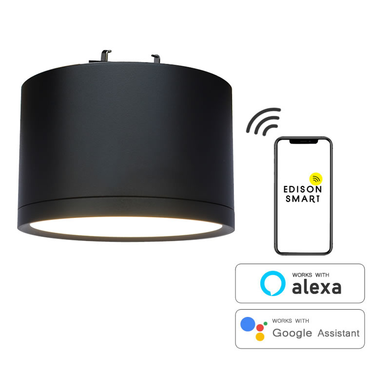 エジソンスマートミニシーリングライト 引掛けシーリング用 ブラック