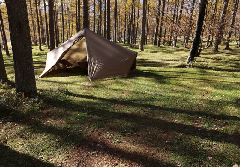 ZANE ARTS】GIGI-1 | RECOMMEND | ELNEST ONLINE