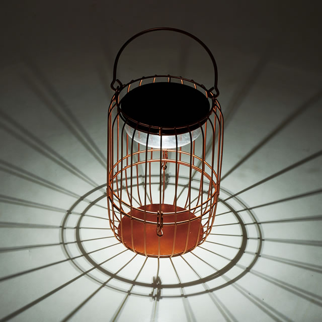 2_000000005055.jpg?1680048593