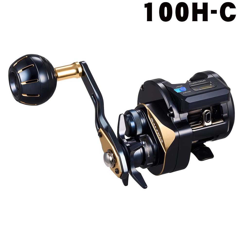 ダイワ 25ソルティガ IC 300-C通販｜釣具通販 いのまた釣具店