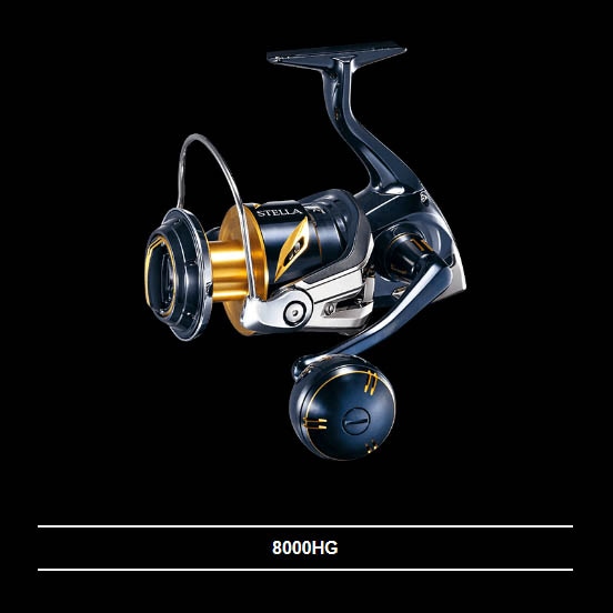 シマノ 19ステラSW 8000HG通販｜釣具通販 いのまた釣具店