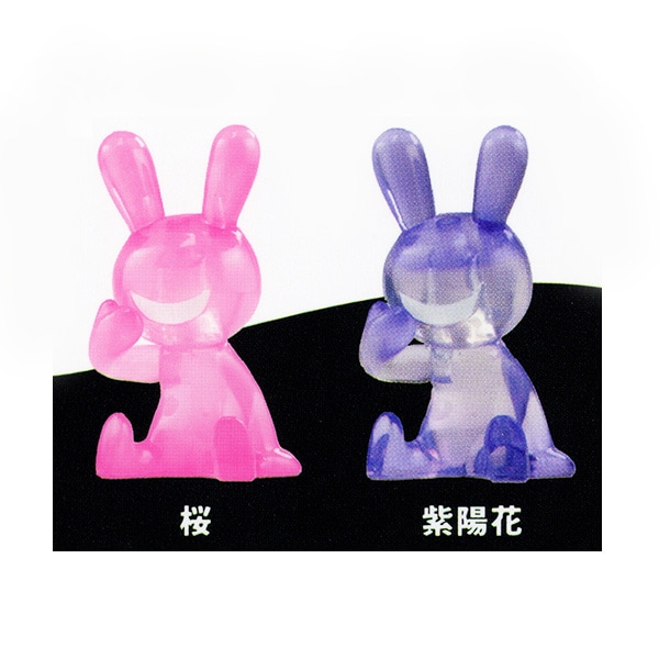 ブラックラビット6 BLACK RABBiT6 2種セット（カプセル）【入荷済み