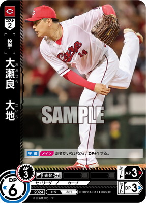 ドリームオーダー,拡張パック,球団ブースター,球団ブースター 広島東洋