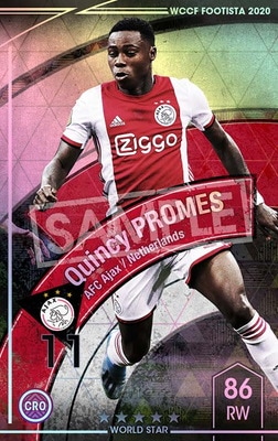 ランクアップ済