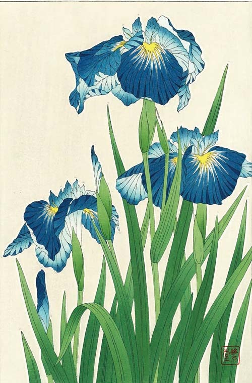 木版画のことなら『木版画 版元 芸艸堂 Woodblock print』