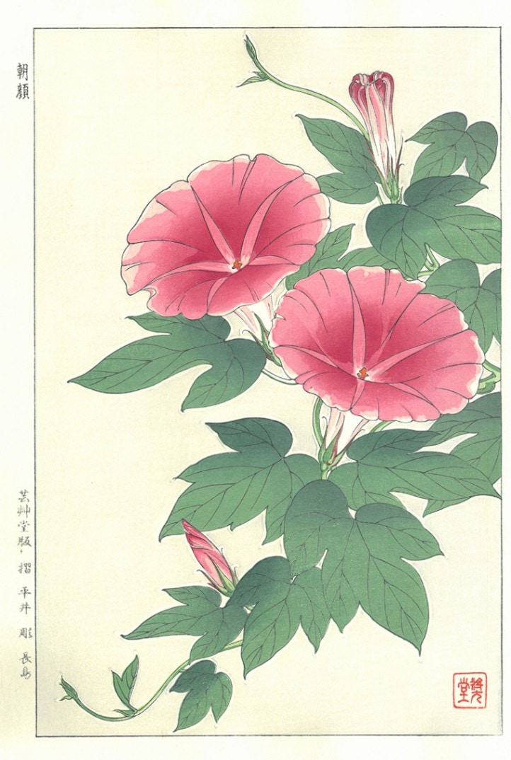 木版画のことなら『木版画 版元 芸艸堂 Woodblock print』