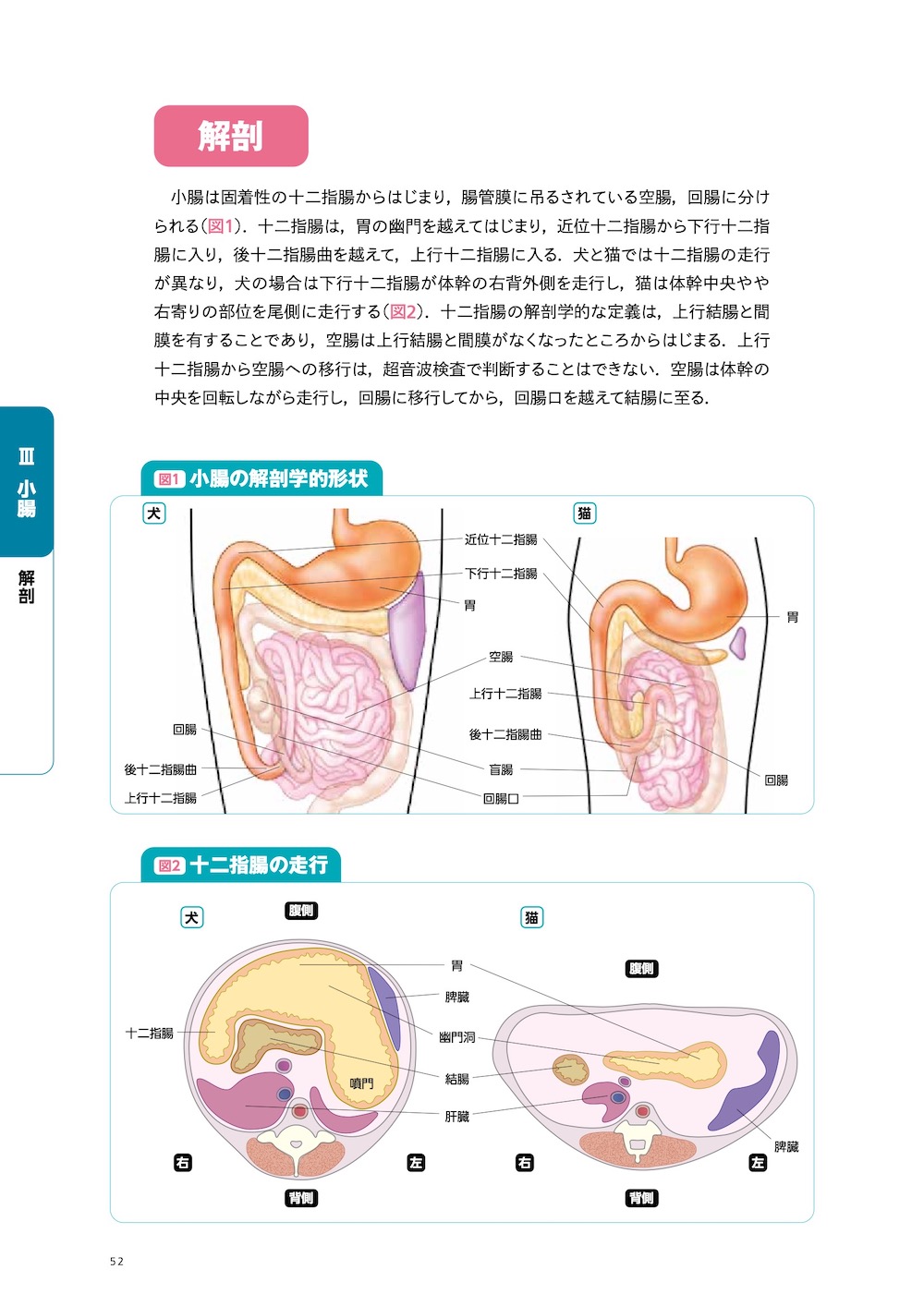 画像とシェーマで学ぶ犬と猫の超音波 Vol.2 腹部 上巻 | 臨床獣医学