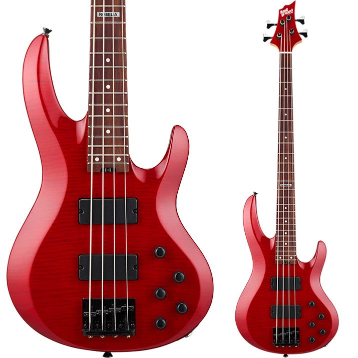 ESP×バンドリ ! コラボレーション BanG Dream! Roselia 今井リサ Model