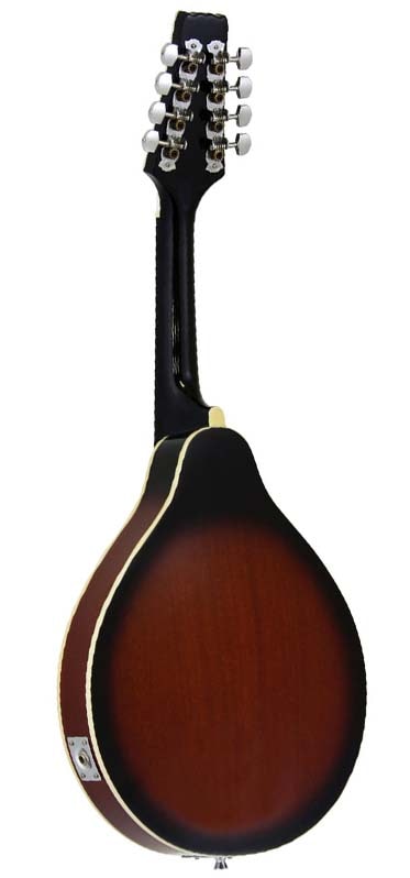 ARIA ピックアップ付きフラットマンドリン AM-20E〈アリア