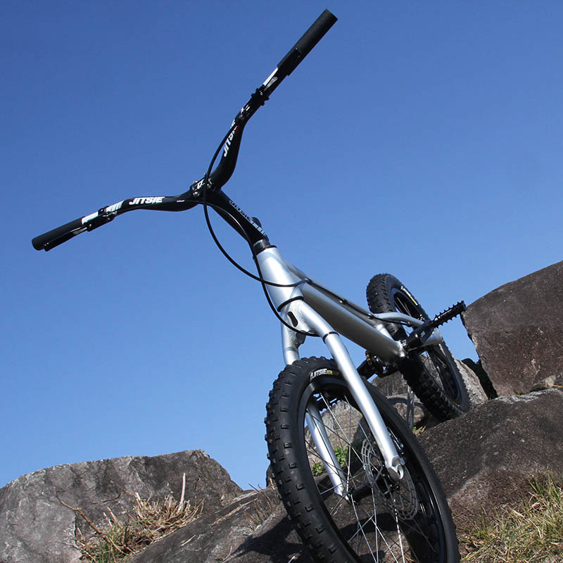 JITSIE - VARIAL 20 [RACE] | 完成車,Trial 20 | GOLDRUSH AJITO