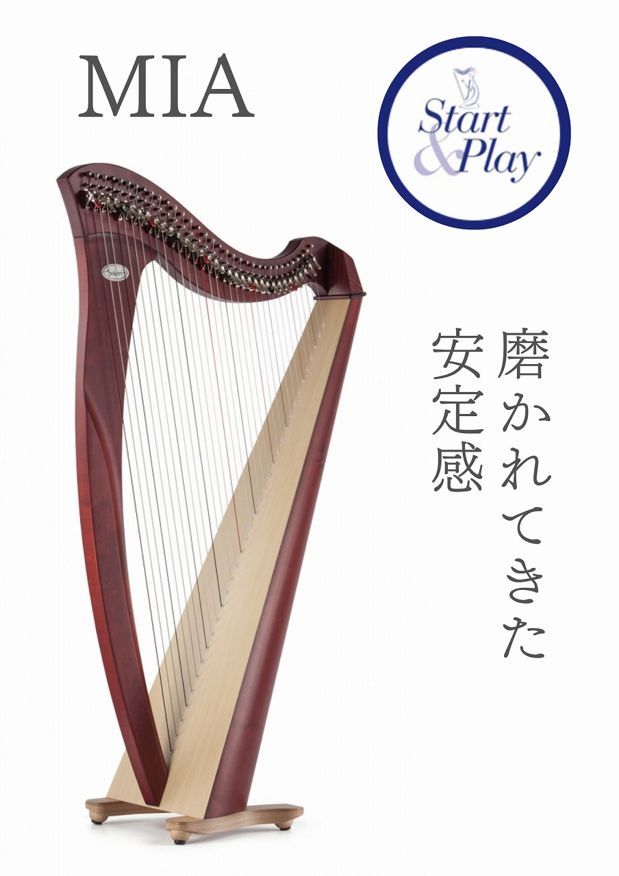 3年保証】 Salvi Harps MIA ～34弦のスタンダードモデル～ | 銀座