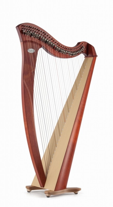 3年保証】 Salvi Harps MIA ～34弦のスタンダードモデル～ | 銀座