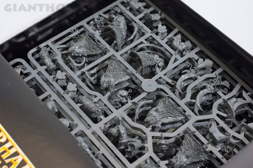 スタートコレクティング】 ビーストクロウ・レイダー/Beastclaw