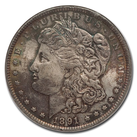 1891年 モルガンダラー 銀貨 1ドル シルバー コイン モルガン ヘッド