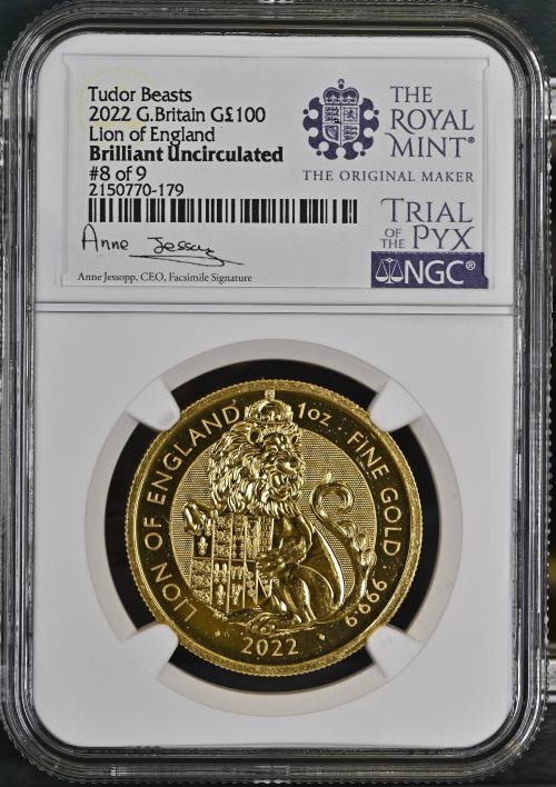 チューダービースト