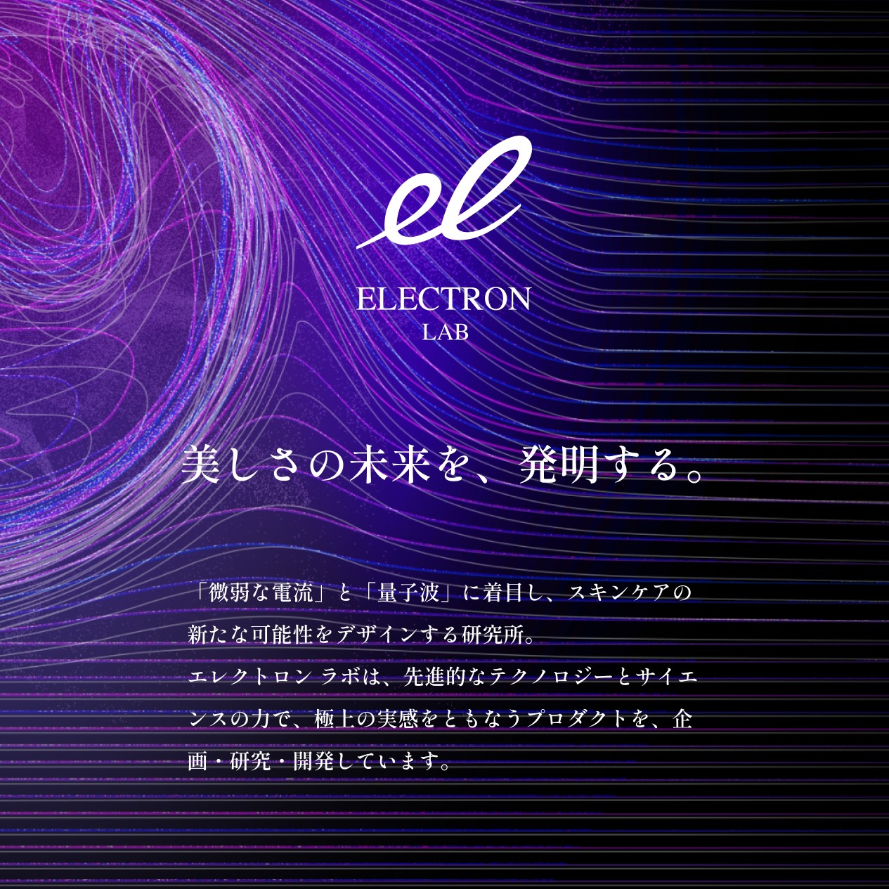 2本組】デンキバリブラシローション セット | ELECTRON ONLINE SHOP