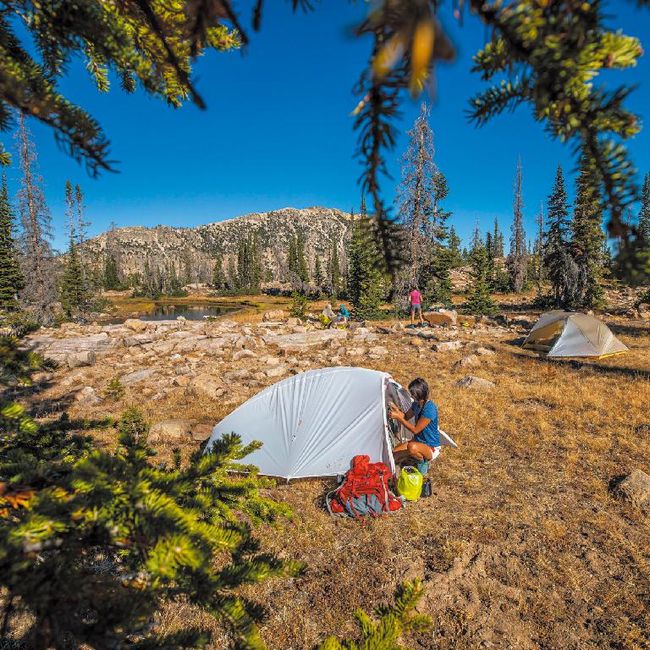 ビッグアグネス BIG AGNES フライクリーク HV UL1 EX ソリューション