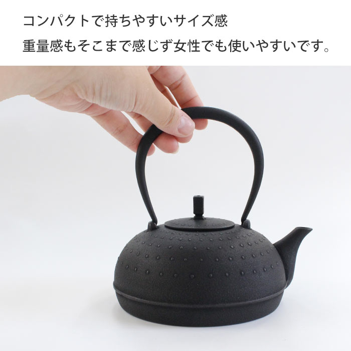 南部鉄瓶 空間鋳造 Sayu 小 0.5L IH対応