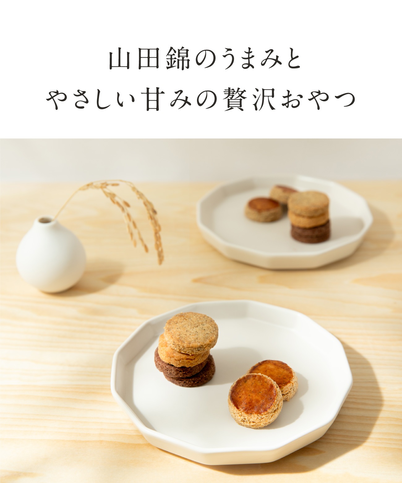 山田錦ガレット メール便アソート（4種 詰合せセット［4種×各4枚