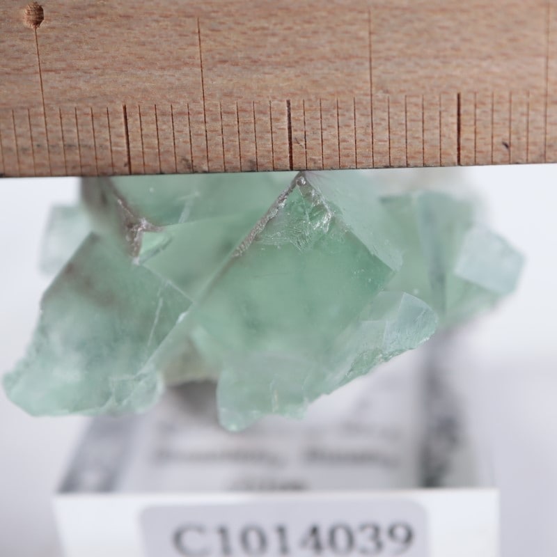 Xianghualing鉱山 蛍石 | 鉱物標本,ハ行,フローライト/蛍石,フロー