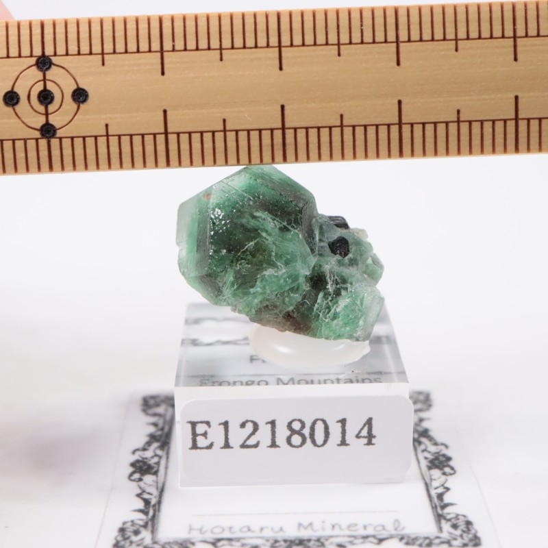 エロンゴ鉱山 フローライト | 鉱物標本,ハ行,フローライト/蛍石