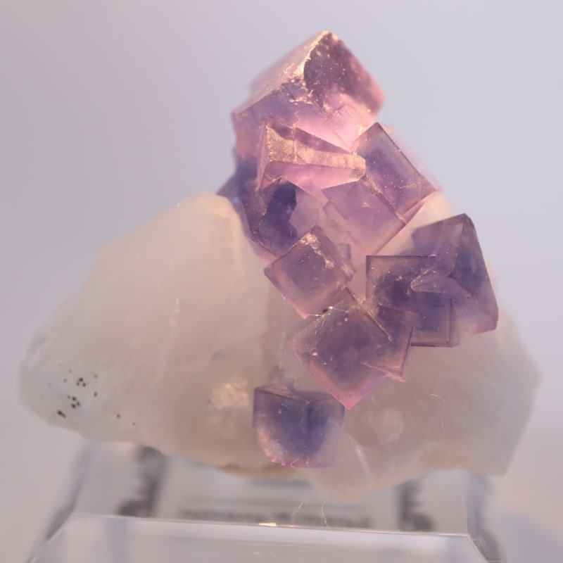 ヤオガンシャン鉱山 蛍石 | 鉱物標本,ハ行,フローライト/蛍石,フロー