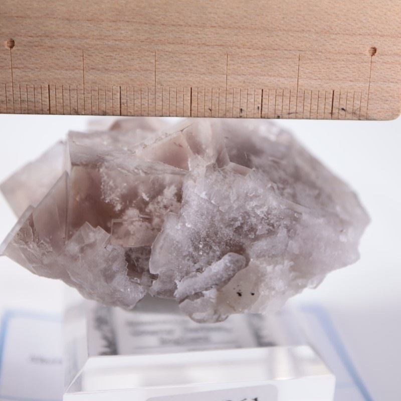 Sherry Twins Pocket フローライト | 鉱物標本,ハ行,フローライト/蛍石