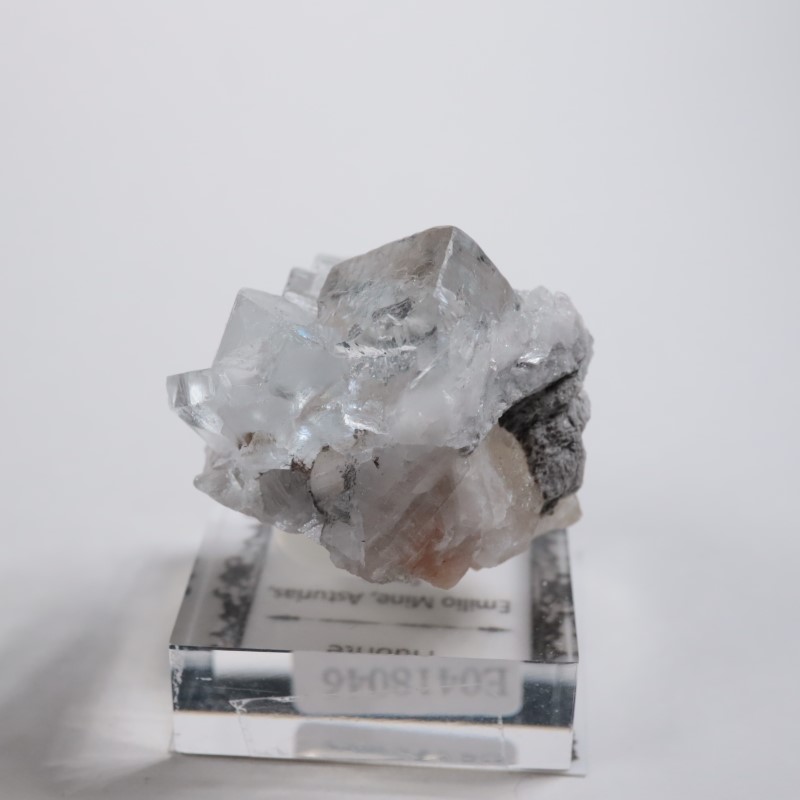 エミリオ鉱山 フローライト | 鉱物標本,ハ行,フローライト/蛍石,フロー